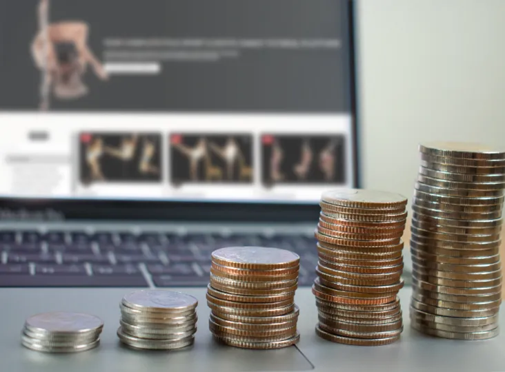 the most affordable online pole clasess