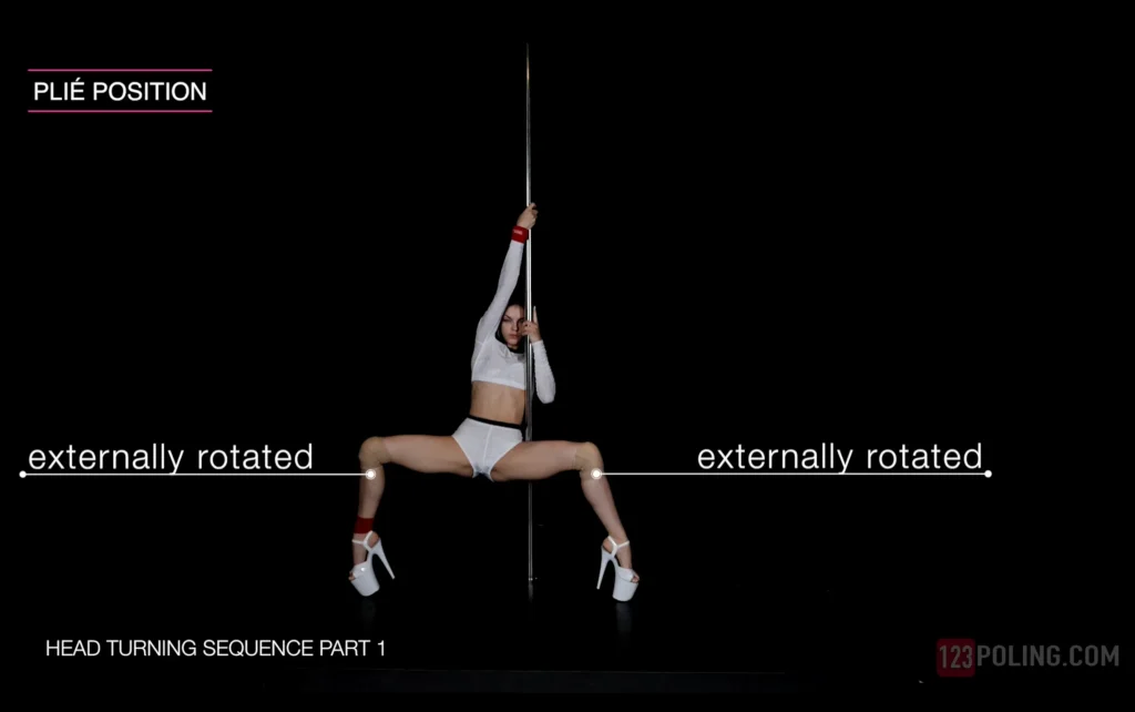video instructions for learning how to pole at home with visual pointers & illustrations