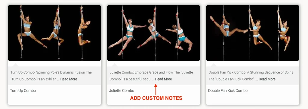 Screenshot showing how to organize moves and combos using custom Smart Bookmark folders. 